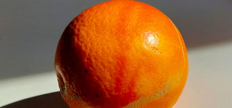 Die Blutorange (Citrus x sinensis L.) – eine Beschützerin bei Stress?